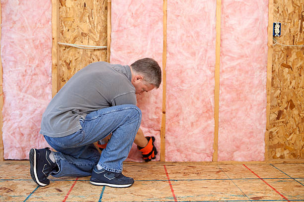 Best Attic Insulation Installation  in Allison, IA